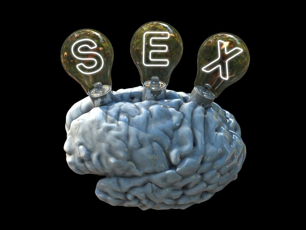 El cerebro sexual